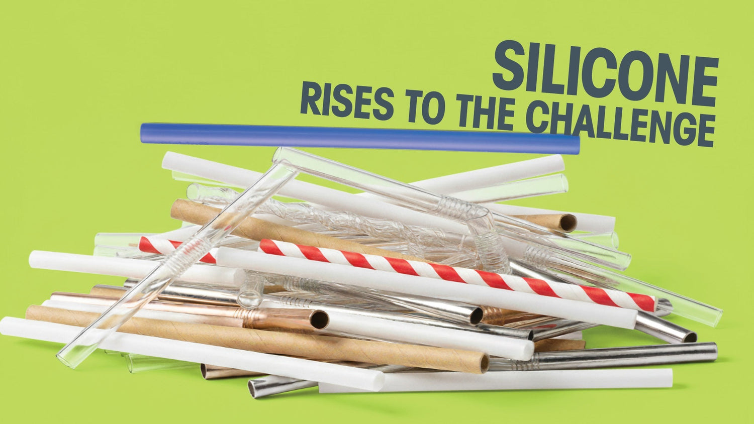 GoSili: The Superior Straw Showdown