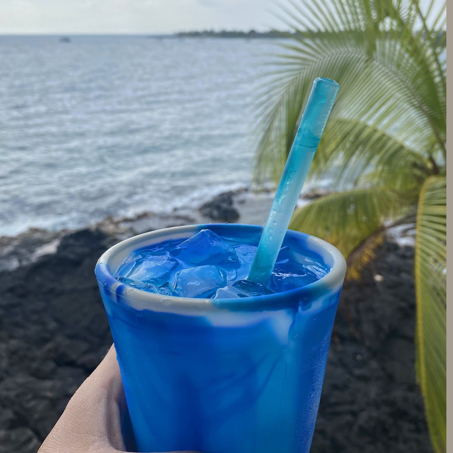 &quot;Stackable platinum silicone GoSili cups, eco-friendly and dishwasher-safe.&quot;
